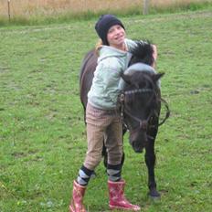 Shetlænder blacki- solgt