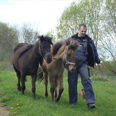 Anden særlig race  # Musse # 