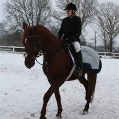 Anden særlig race Galant - vsr  - Part <3