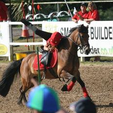 Anden særlig race Kiss Kiss Bang Bang DK 