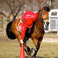 Anden særlig race Kiss Kiss Bang Bang DK 