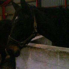 Traver Samedi *Hvil i fred*