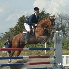 Tysk Oldenburger Andiamo 162