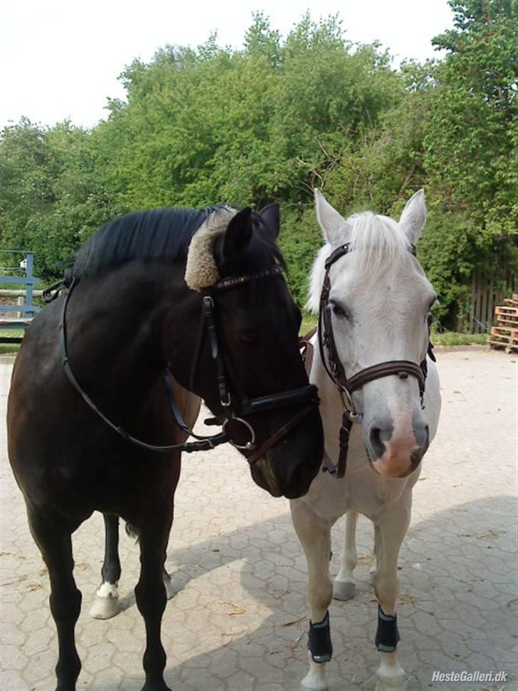 Anden særlig race Kasper (ikke mere) - Best Friends ! <3 Nemo&kasper (:: billede 15