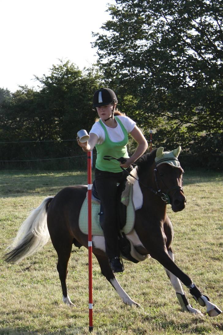 Pinto Spirit  - DM individuel i mounted games:) vandt D-finalen<3 leg: 3 mug billede 11