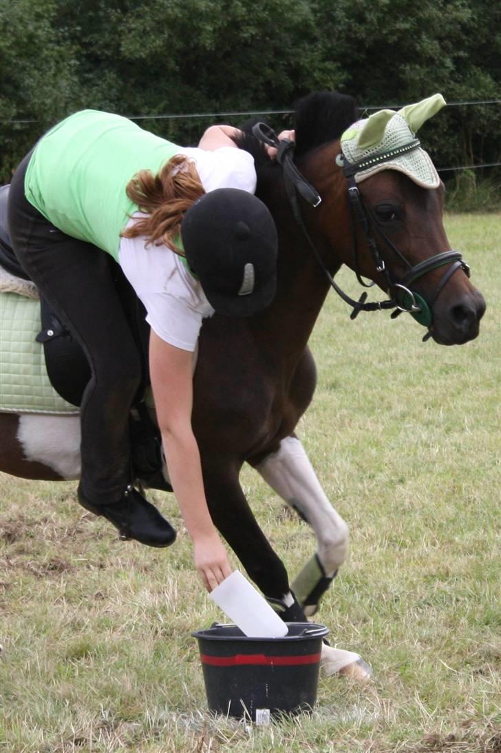 Pinto Spirit  - DM individuel i mounted games:) vandt D-finalen<3 leg: carton billede 15