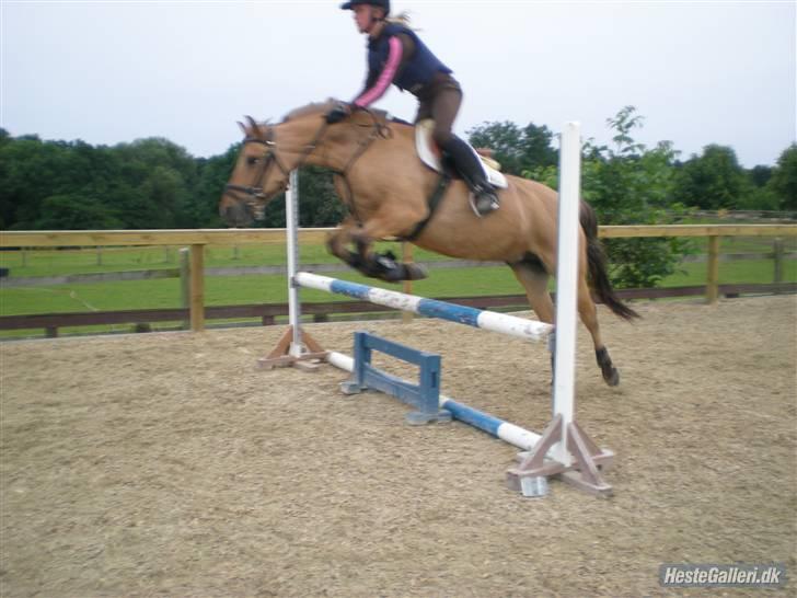 Anden særlig race Tulle - spring sommer 2009 billede 15