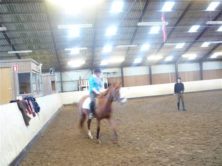 Anden særlig race cassiopeia  billede 4