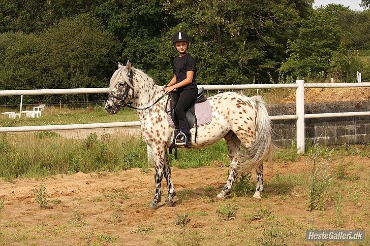 Appaloosa Collin-N - Første gang jeg red ham<33 :)
 billede 17