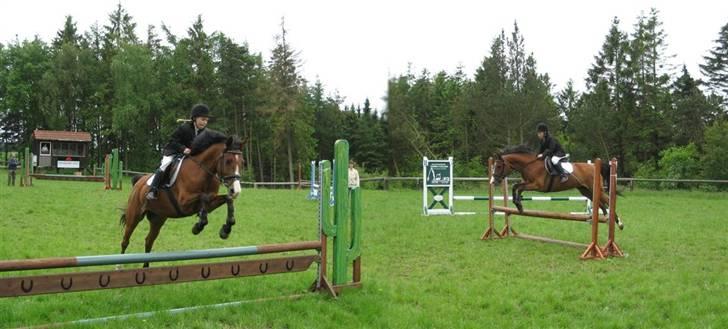 Anden særlig race Kisandra *R.I.P.* - Kisandra, spring stævne 2008 <3 billede 17