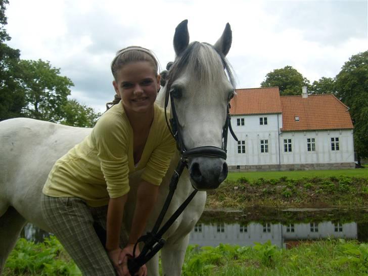 Welsh Mountain (sec A) Cassiopeia - Der er intet der kan skilles os af, i denne store verden<3  billede 7