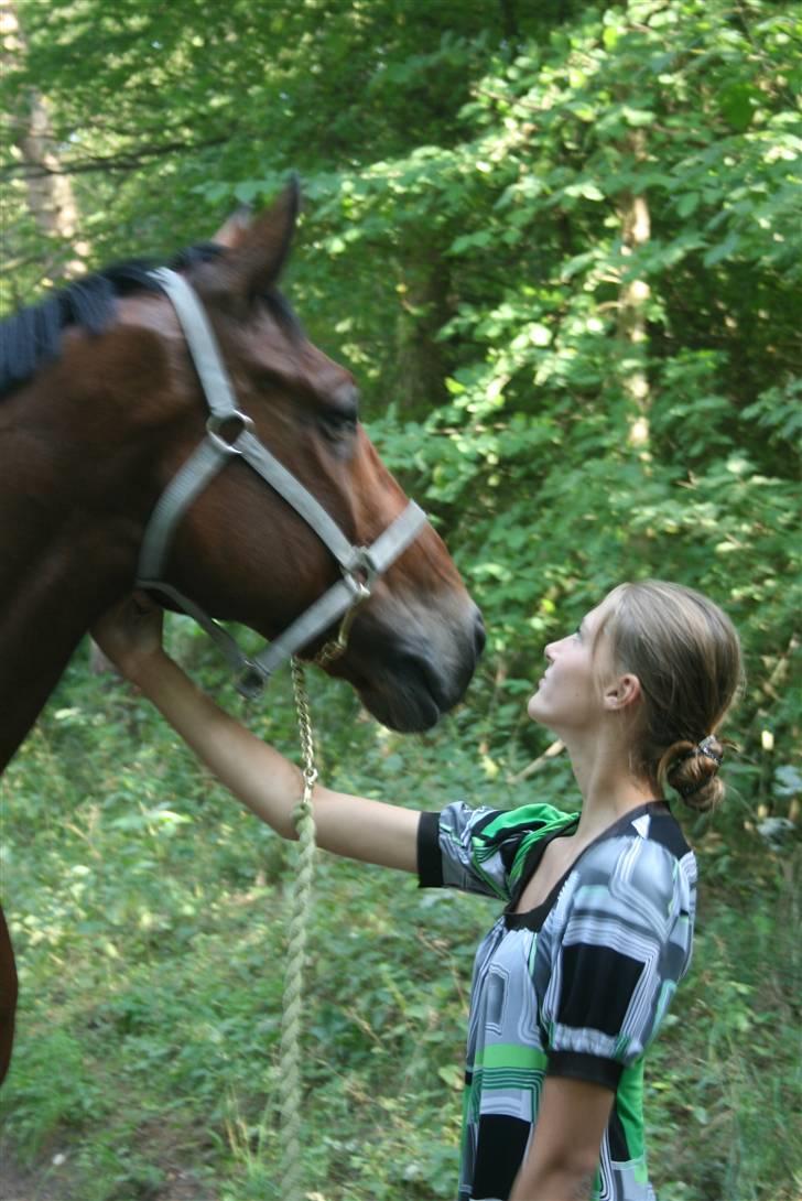 Dansk Varmblod Azur Khan - SMUK SOM ALTID <333 FOTO:  Rikke <33 billede 13