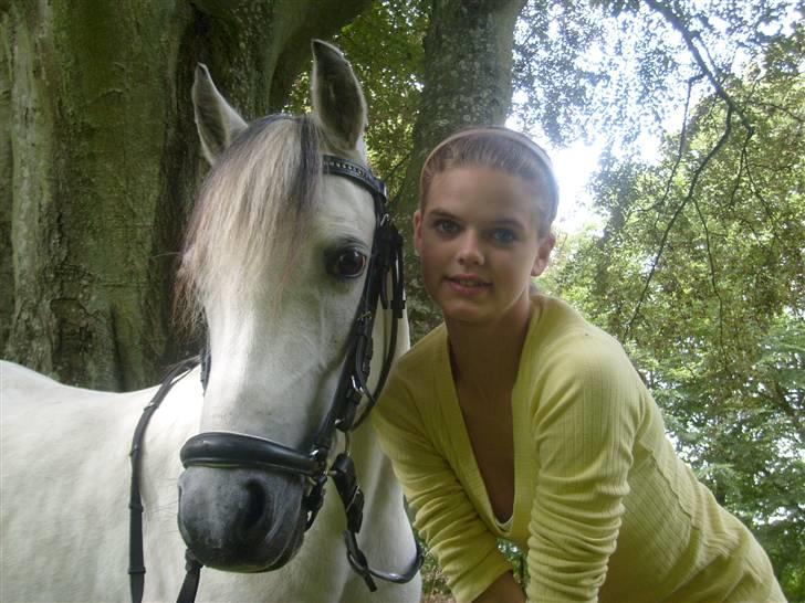 Welsh Mountain (sec A) Cassiopeia - Os igen<3 vi er som skabt for hinanden <33 billede 11