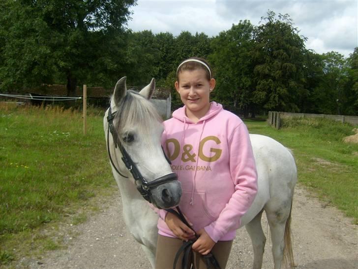 Welsh Mountain (sec A) Cassiopeia - Når bare jeg har mine to guldklumper, er alting GODT ;D<3 elsker jer! billede 18