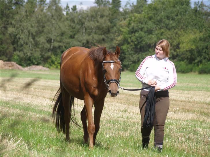 Anden særlig race Zafir*Solgt* :'( - NYT:) billede 15