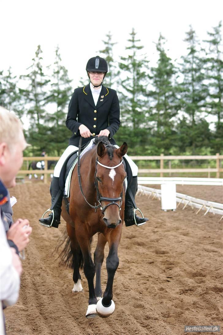 Dansk Varmblod Zaro R.I.P <3 - Pave stoldt!:D billede 17