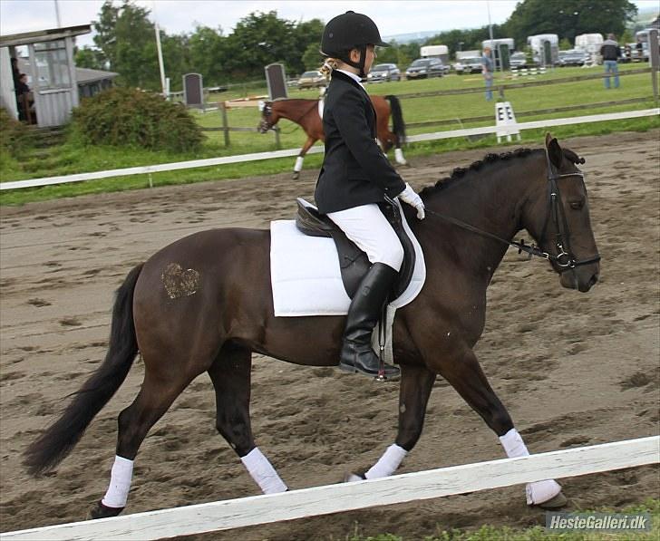 Anden særlig race Garnis - Stævne Lc2<3
Nr. 3 <3
August 2010 <3 billede 5