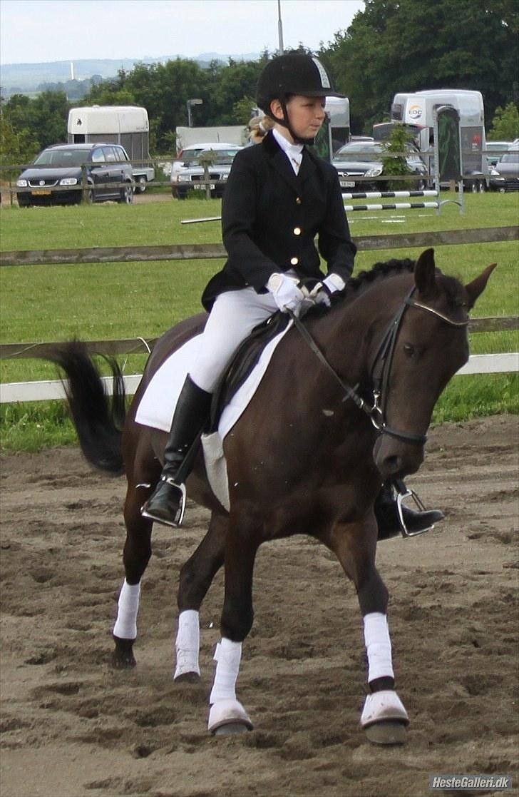 Anden særlig race Garnis - Stævne Lc2  <3
Nr. 3 <3
August 2010 <3 billede 3