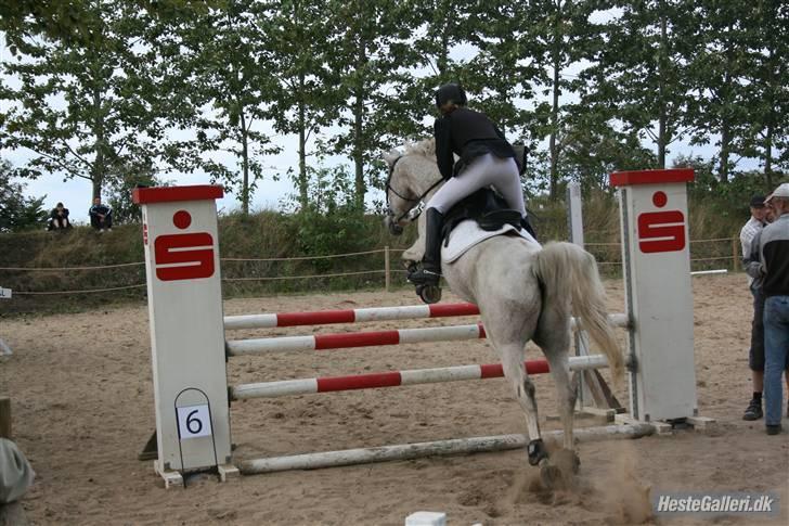 Anden særlig race Silver - Silver der springer sin første ULC hvor vi kom fejlfrit igennem! Han var SÅ sød. billedet er taget af Heidi H billede 9