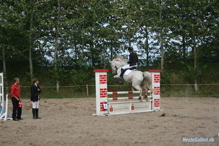 Anden særlig race Silver - Silver der springer sin første ULC hvor vi kom fejlfrit igennem! Et ordent elevator hop, men han redder os så fint. Han var SÅ sød. billedet er taget af Heidi H billede 11