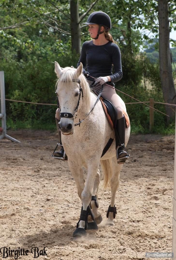 Anden særlig race Silver - Silver og jeg der skridter :) billede 13