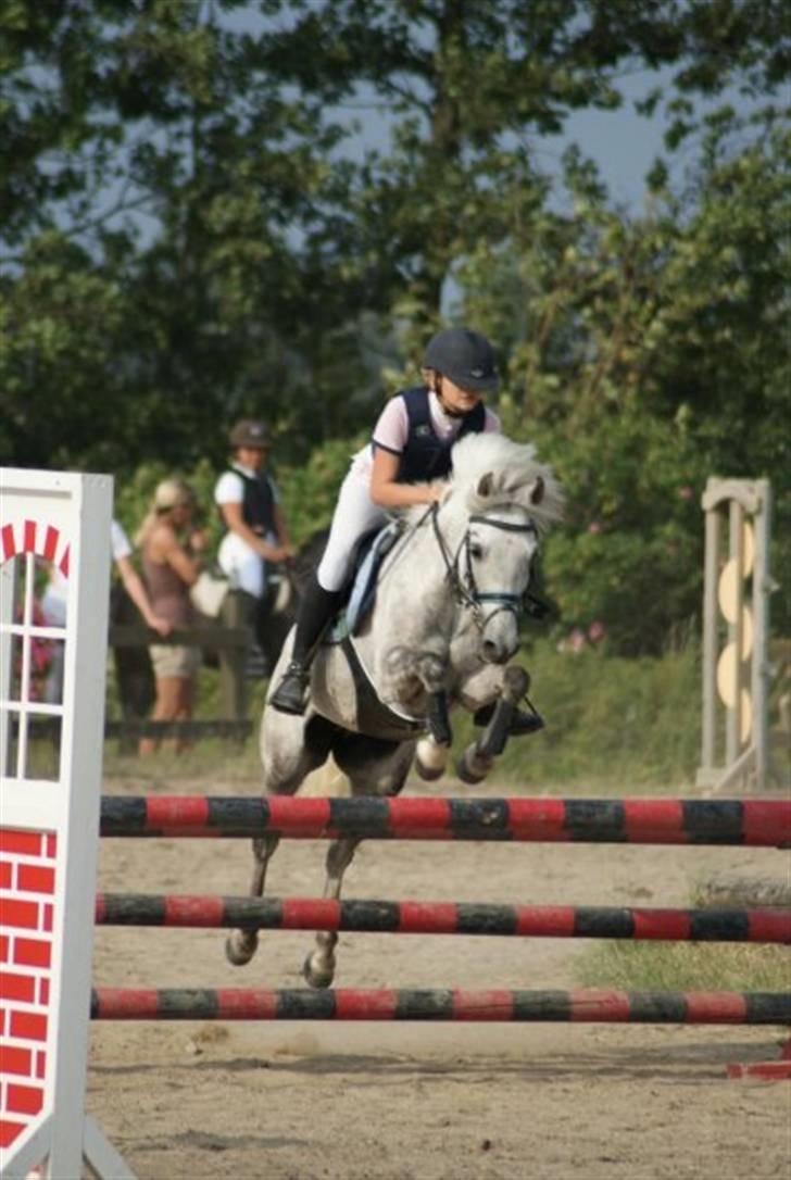 Anden særlig race Dyrkærgård Sping Sky - FMR <3 MB <3 foto: Linnea Dalsgaard billede 19