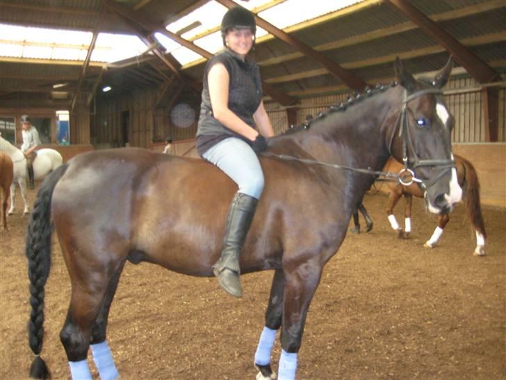 Anden særlig race Baloo R.i.P stjerne - Nede i ridehallen,, hvor jeg sidder på ham den dejlige... vi vandt en strigle konkurrence sammen med en anden... billede 3