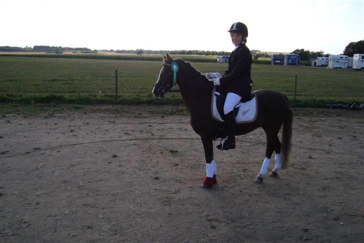 Welsh Pony (sec B) Silver - Nr. 7 til DM :´D Silver.. Du er den eneste ene! (; billede 19