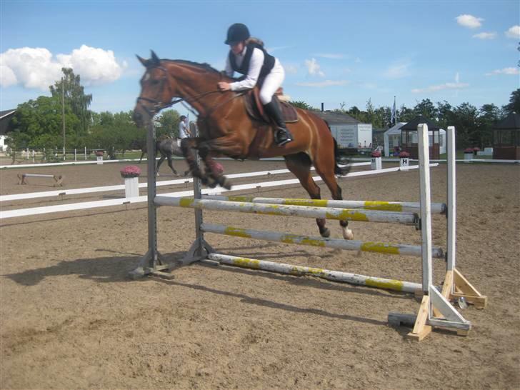 Svensk Varmblod Felicity (swb) solgt ;/ - felicity og jeg i stor stil over oxer:D billede 17