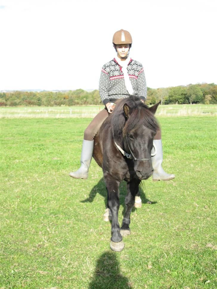 Anden særlig race Figaro, du glemmes aldrig - 7# den følelse; at have vundet over frygten - gjordt som vi ikke har gjort før - mærket et sus i maven, som aldrig før er blevet mærket så samme måde - mærke dine bløde gang - klamre sig fast til din man, når du laver et badutspring. you are special! billede 7