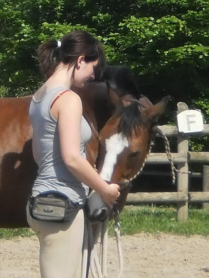 Hollandsk Sportspony Macho <3 R.I.P. baby <3 - Min bedste ven <3 billede 6