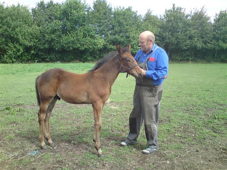 Traver *Select T* - Stolt "far" med "See You" billede 10