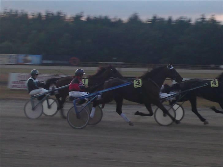 Traver Wondering - Fint løb, selvom vi endte i dødens fik vi en 3 plads med hjem... billede 16