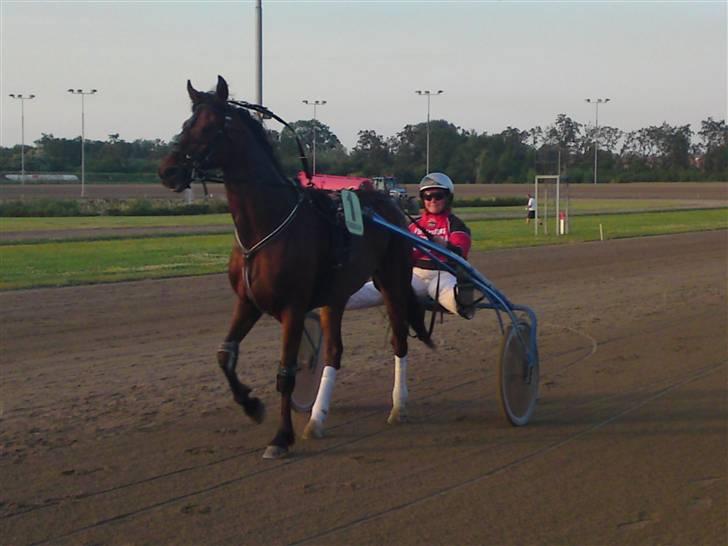 Traver Wondering - Wonder på Aalborg-banen... Vi fik også her en fin 3 plads... billede 17