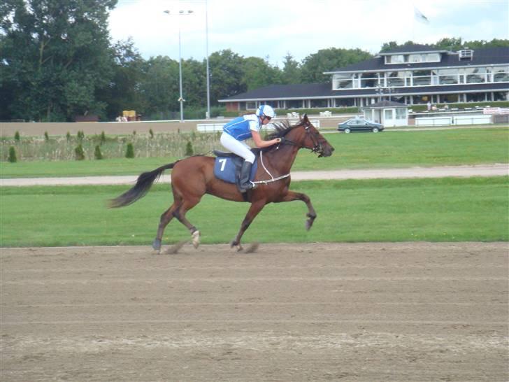 Traver Wondering - Wonder til NM i Allborg, med Evalina Kakko fra Finland..  billede 18