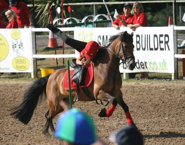 Anden særlig race Kiss Kiss Bang Bang DK  - Em i wales 2010.. ophop;) billede 2