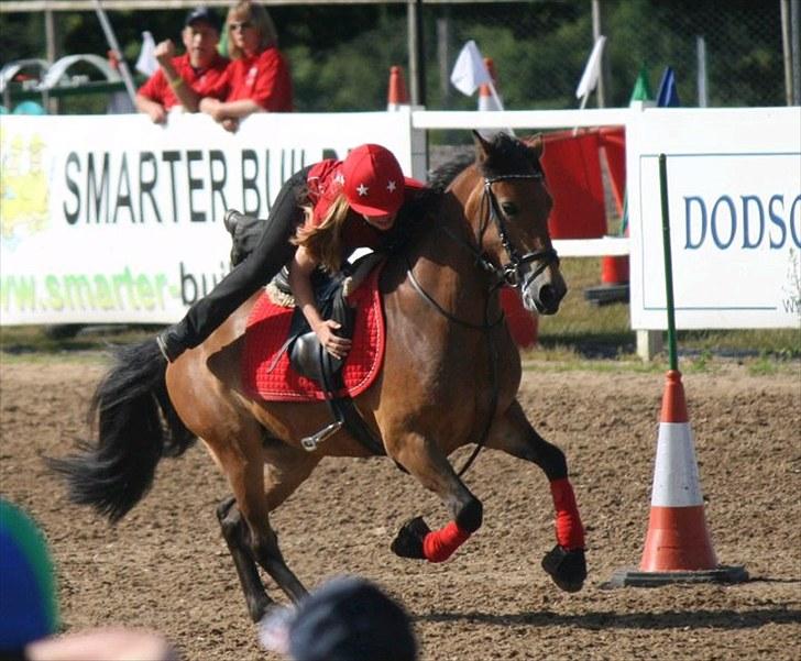Anden særlig race Kiss Kiss Bang Bang DK  - Em i wales.. haha det ligner jeg hopper over, men det gør jeg ikk!!:D billede 9
