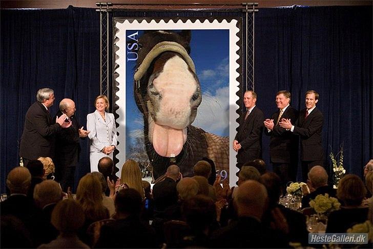 Anden særlig race Peanut<3 - Lille Peanut billede 11