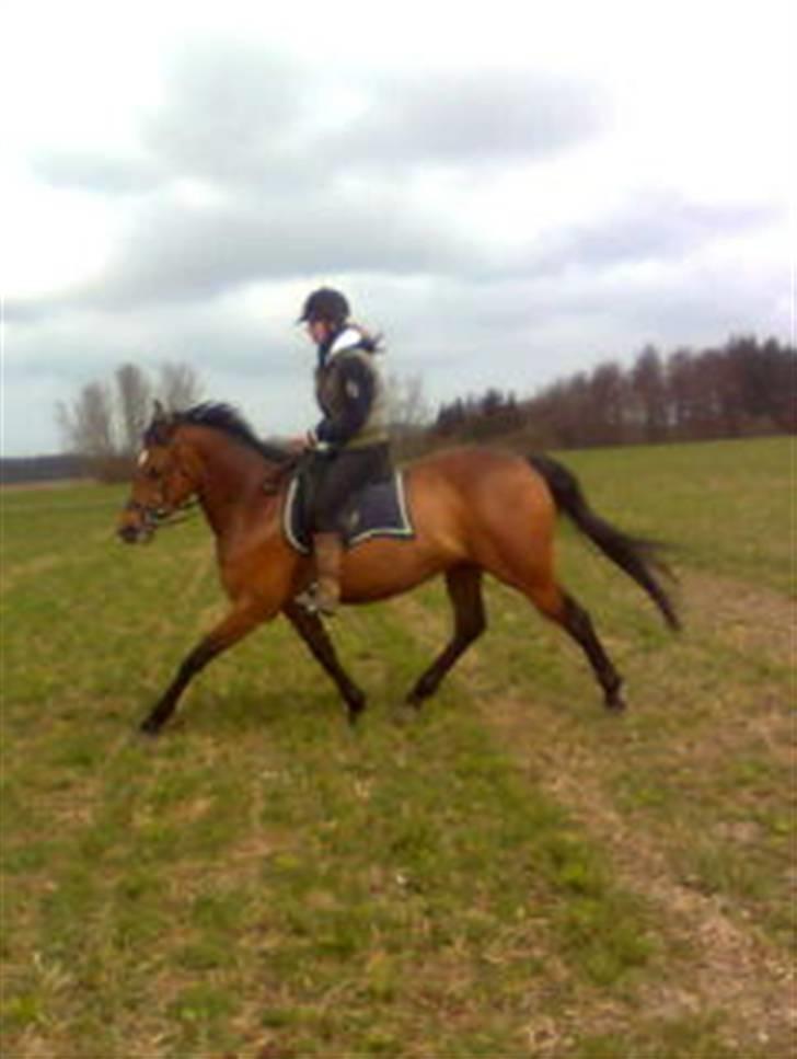 Anden særlig race Naja billede 1