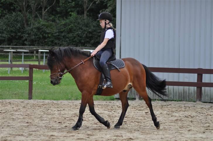 Anden særlig race Tyson<3* SOLGT <3* billede 10