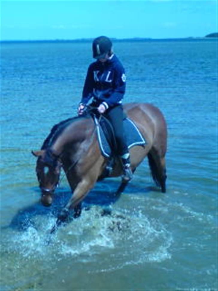 Anden særlig race Naja billede 2