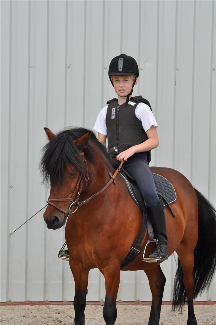 Anden særlig race Tyson<3* SOLGT <3* billede 12