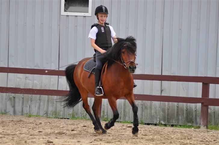 Anden særlig race Tyson<3* SOLGT <3* billede 14