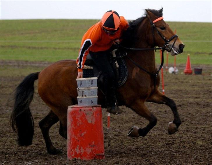 Anden særlig race Kiss Kiss Bang Bang DK  - Madkasser.. de står heelt lige :D :D billede 12