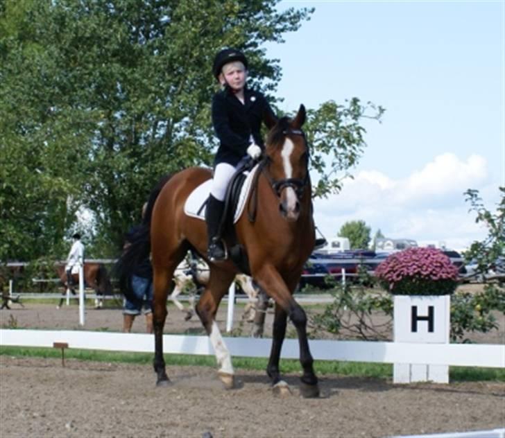 DSP Hedemands Tanita billede 1