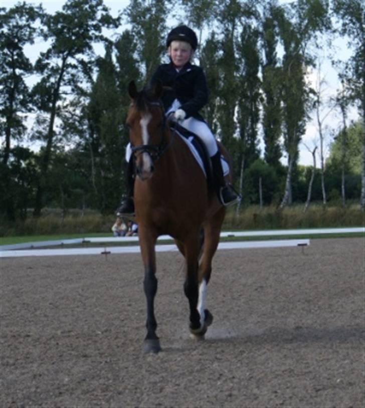 DSP Hedemands Tanita billede 3