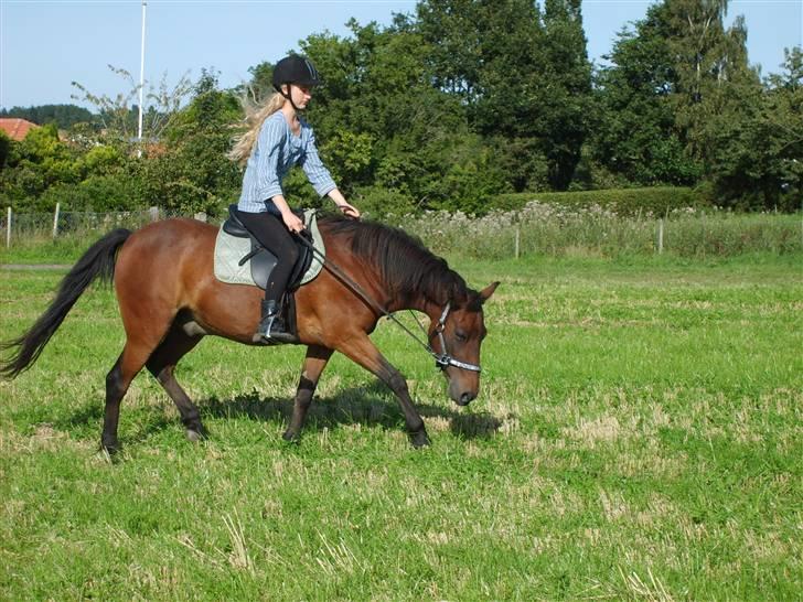 Anden særlig race Merci ( ejer: jacqueline) billede 20