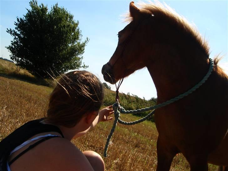 Pinto Aragon - Savnet - Velkommen til hans profil - Man kan vel være lidt fotogene. Foto; Mette Redsted. billede 1
