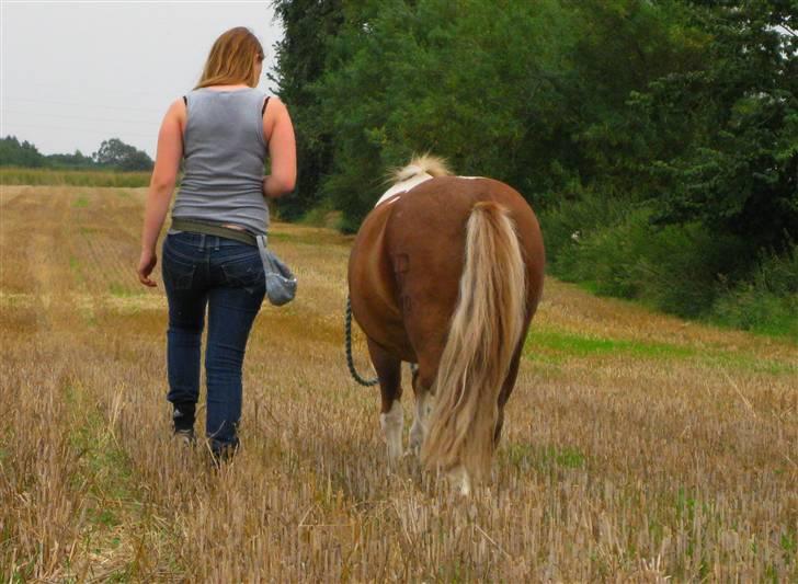 Pinto Aragon - Savnet - Når enden er god er alting godt! Foto; Astrid Caroe. billede 5