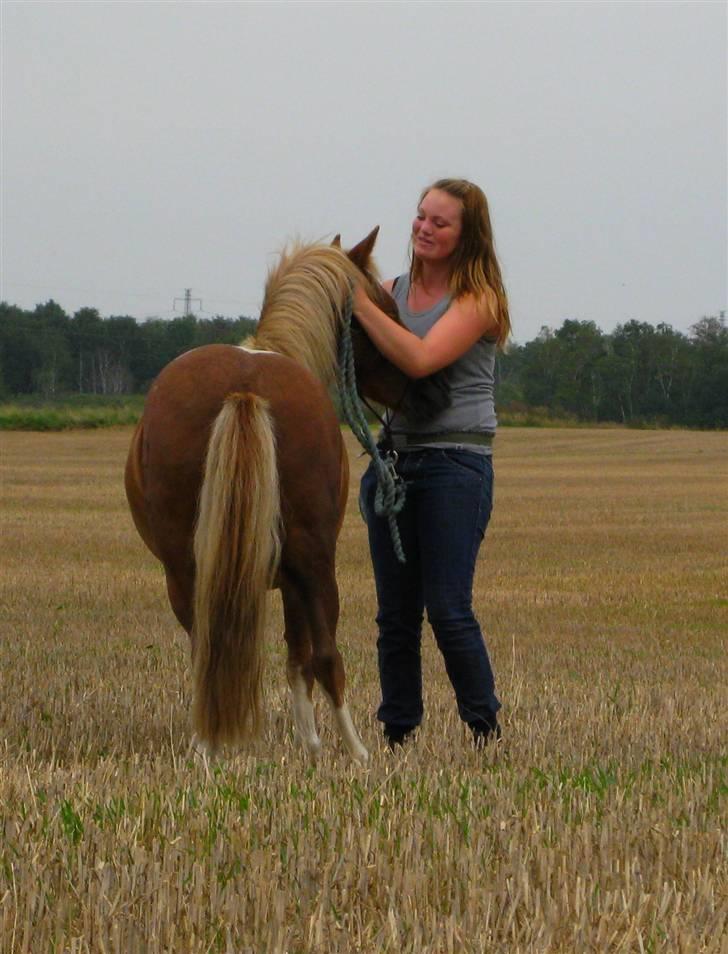 Pinto Aragon - Savnet - Mark hygge. :p Foto; Astrid Caroe. billede 7
